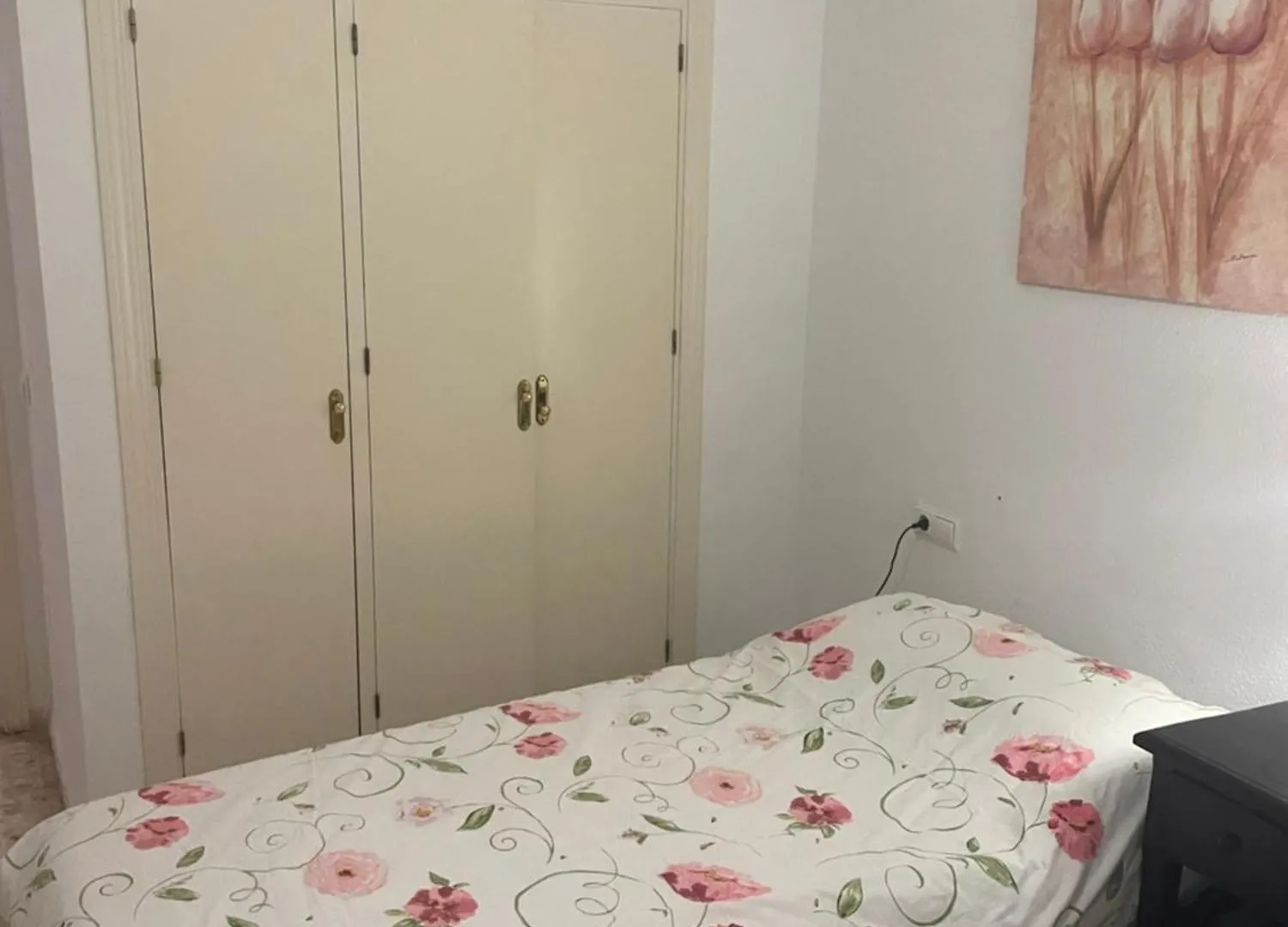 Apartment Luchana 15 Malaga Spain